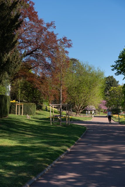 Jardin Lecoq
