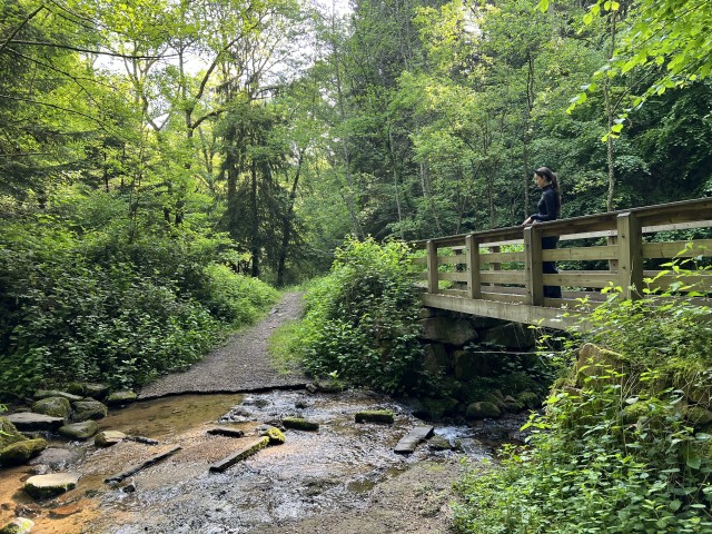 Gorges Artière